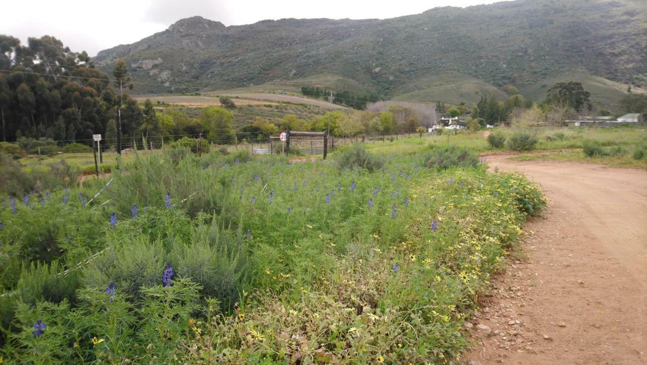 Brambleberry Farm Vila Riebeek-Kasteel Exterior foto